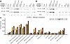CTHRC1 protein expression in CCL-151 and MLT-018 fibroblasts across substra