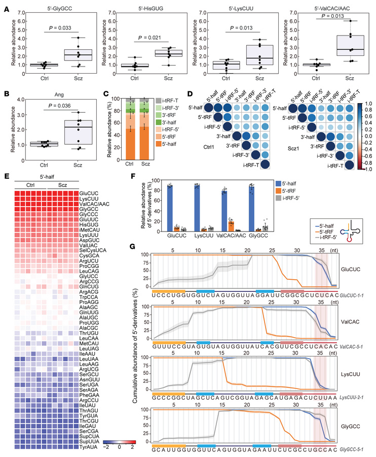 Increased levels of 5′-tRNA halves in OE cells of patients with schizoph...