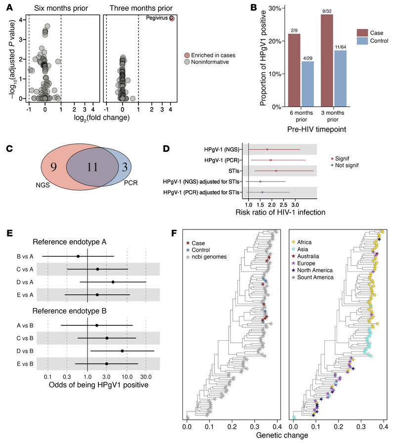 HPgV-1 infection predicts HIV-1 acquisition.
(A) HPgV-1 RNA is more abun...