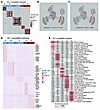 Cases and controls cluster into distinct immunological endotypes 3 months p