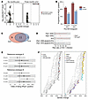 HPgV-1 infection predicts HIV-1 acquisition.