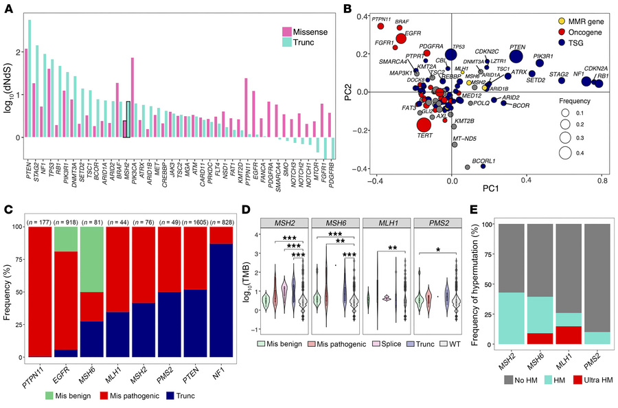 Distinct distributions of mutation types and correlations with TMB highl...