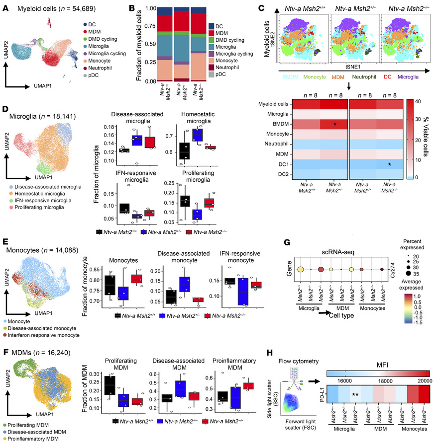 Disease-associated myeloid cell subsets are increased in Msh2-dependent ...