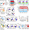 Disease-associated myeloid cell subsets are increased in Msh2-dependent MMR