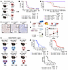 Somatic MMRd does not lead to shortened survival in tumor-bearing mice.