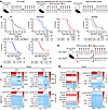 Germline MMRr, MMRd, and somatic MMRd confer resistance to TMZ in vivo.