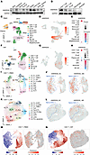 ANKRD55 is mainly expressed in CD4+ T cells and is engaged in T cell develo