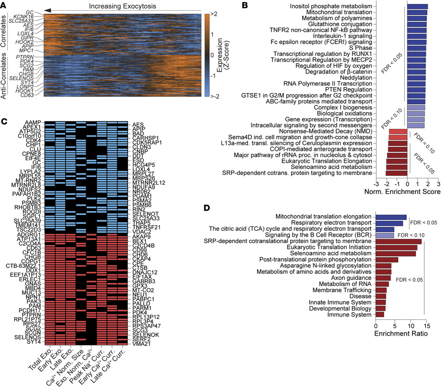 Linking transcript expression with electrophysiology in T1D patch-seq α ...