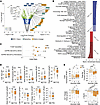 Patch-seq of T1D α cells.