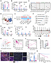 Tumor-intrinsic USP5 inversely correlates with type I IFN–mediated CXCL9+ m