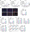 USP5 depletion boosts radiation-induced CXCL9+ macrophages and CD8+ T cell