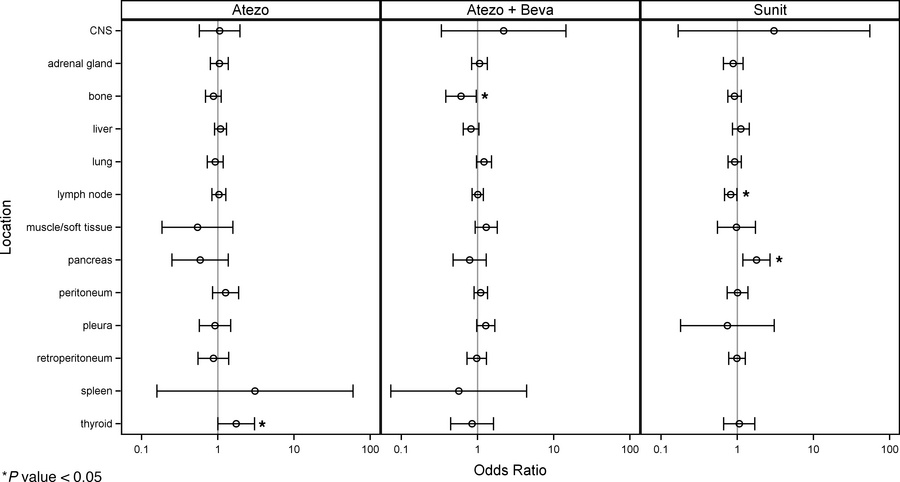 Response to treatment according to the total tumor burden in different o...
