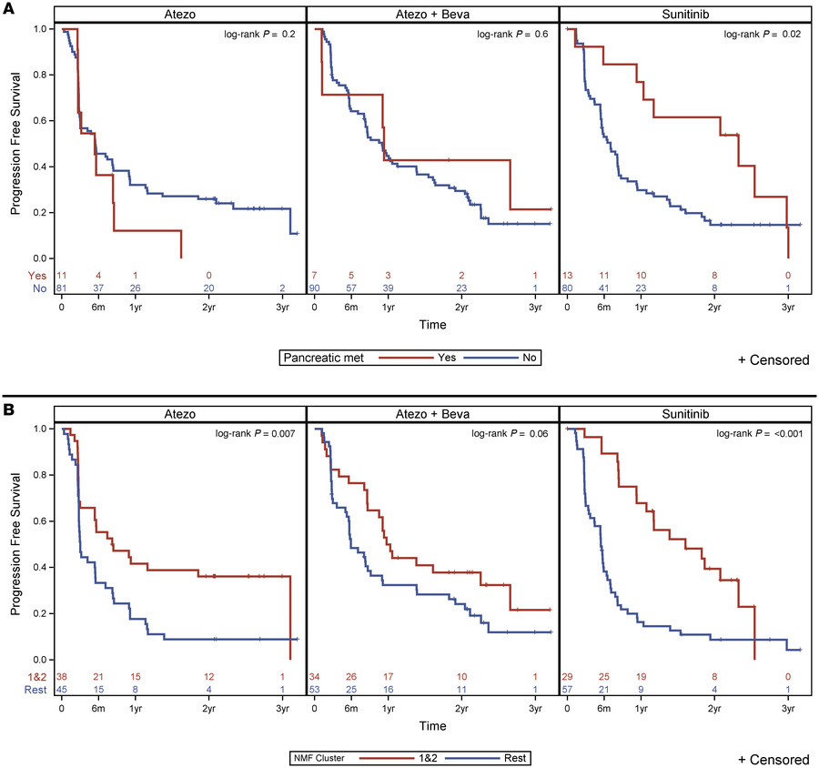 PFS in patients with and without pancreatic metastases and in clusters 1...