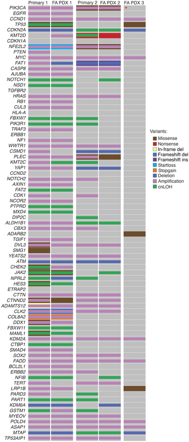 Oncoplot indicating curated HNSCC oncogene and tumor suppressor gene som...