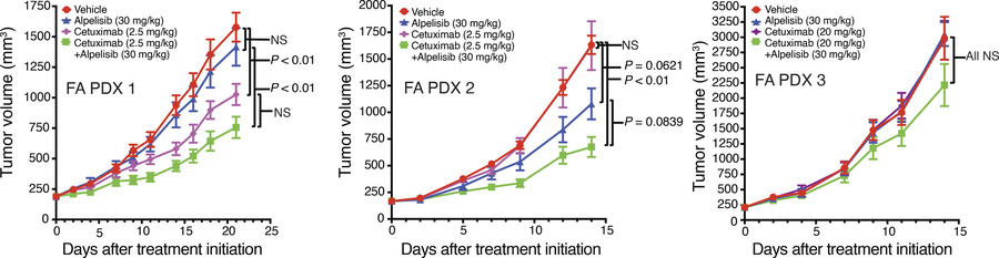 Combination treatment with cetuximab and the PI3K inhibitor alpelisib (B...