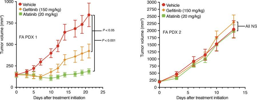 Gefitinib and afatinib inhibit the growth of FA PDX 1 tumors, but not FA...