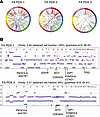 Generation and genomic characterization of FA-HNSCC PDX models.