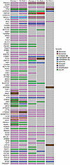 Oncoplot indicating curated HNSCC oncogene and tumor suppressor gene somati