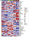 Supervised heatmap representation of DSP of protein targets across PDX samp