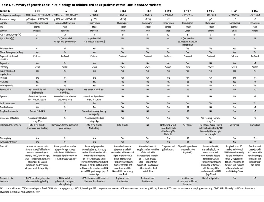 Summary of genetic and clinical findings of children and adult patients ...