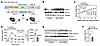 HIF2α stabilization improves glucose tolerance and reduces body weight.