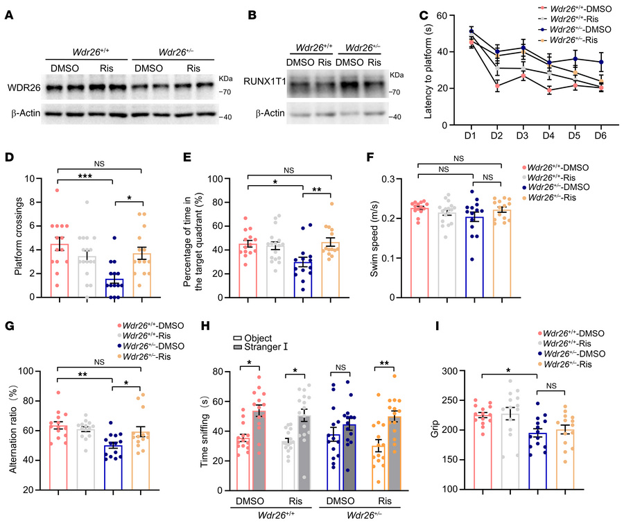 Risperidone upregulates WDR26 and ameliorates behavioral impairments in ...