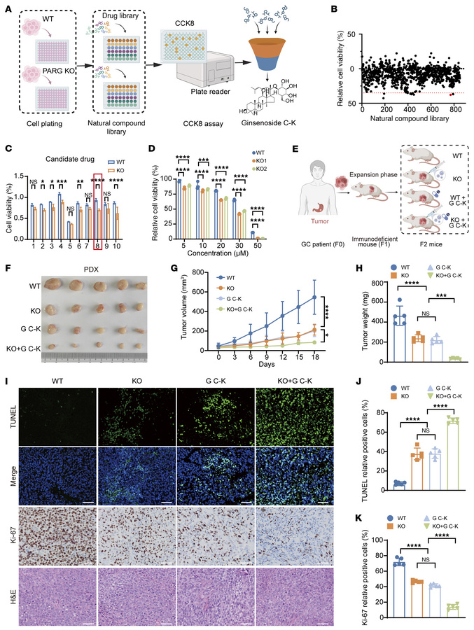 High-throughput screening identifies G C-K as synergistic lethal with PA...