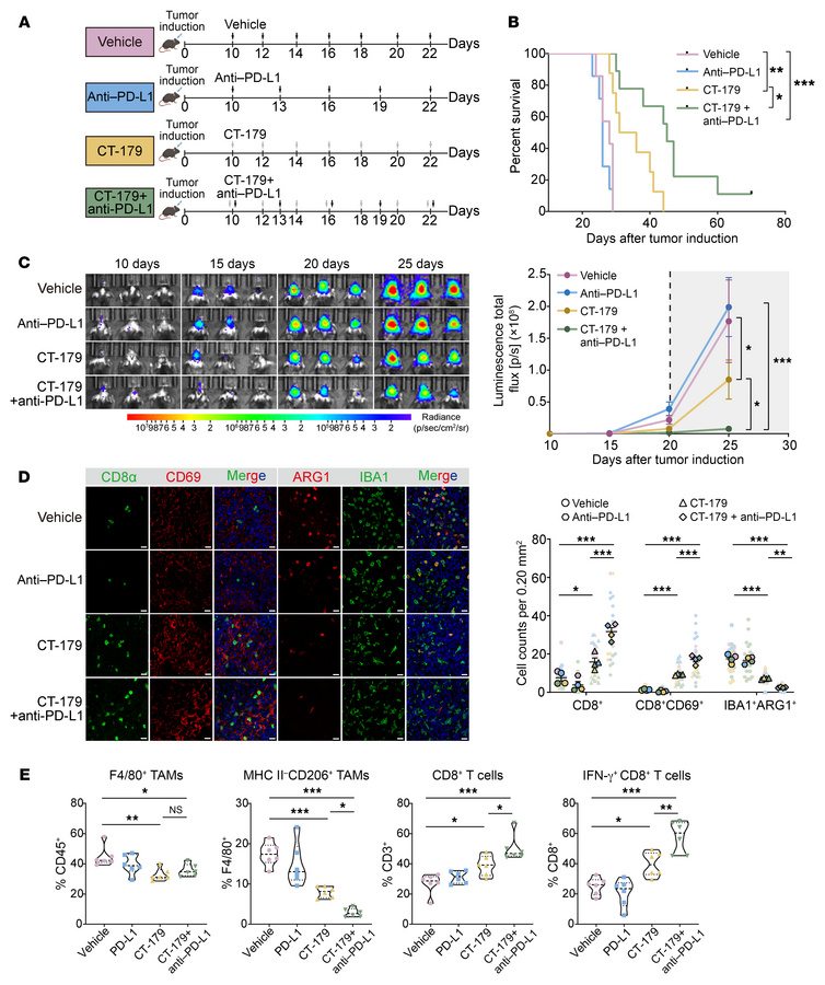 CT-179 potentiates anti–PD-L1 therapy efficacy.
(A) Treatment strategy f...