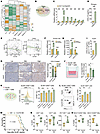 CXCL10 promotes antitumor immune response of CD8+ T cells.
