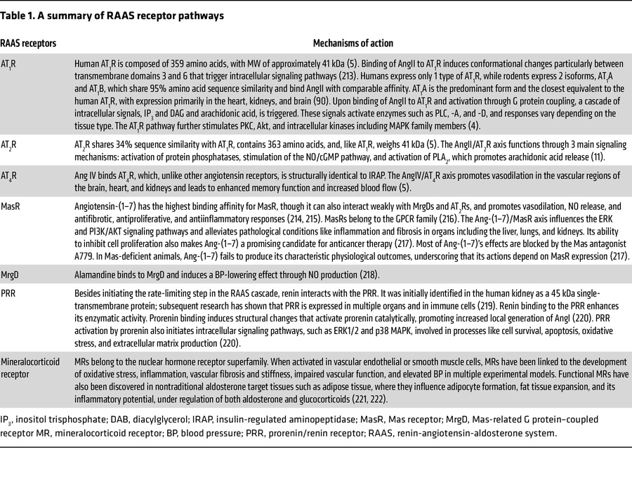 A summary of RAAS receptor pathways