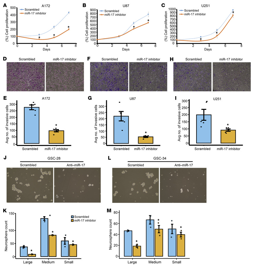 Effects of miR-17 inhibition on cell proliferation, invasion, and neuros...