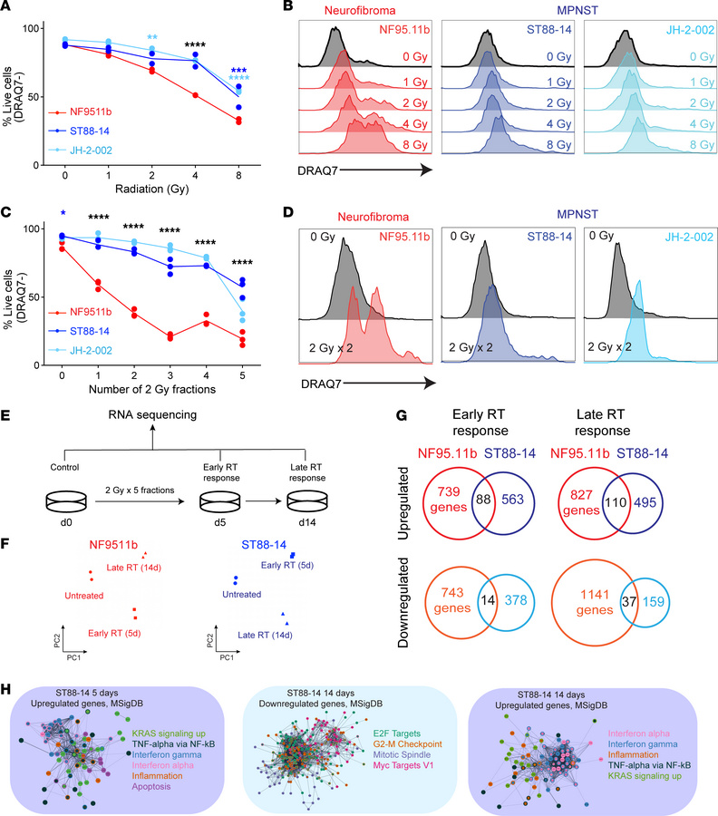 MPNST cells demonstrate increased radioresistance compared with pNF cell...
