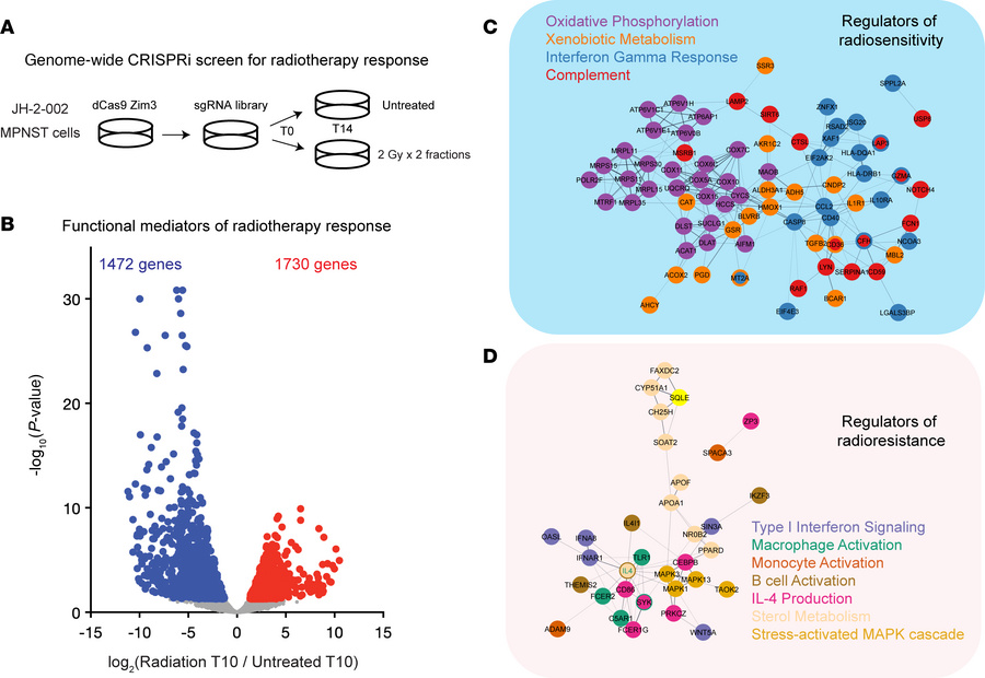 Genome-wide CRISPRi screen identifies functional mediators of the radiat...