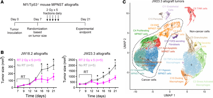 Irradiated mouse MPNST tumors contain multiple tumor and microenvironmen...