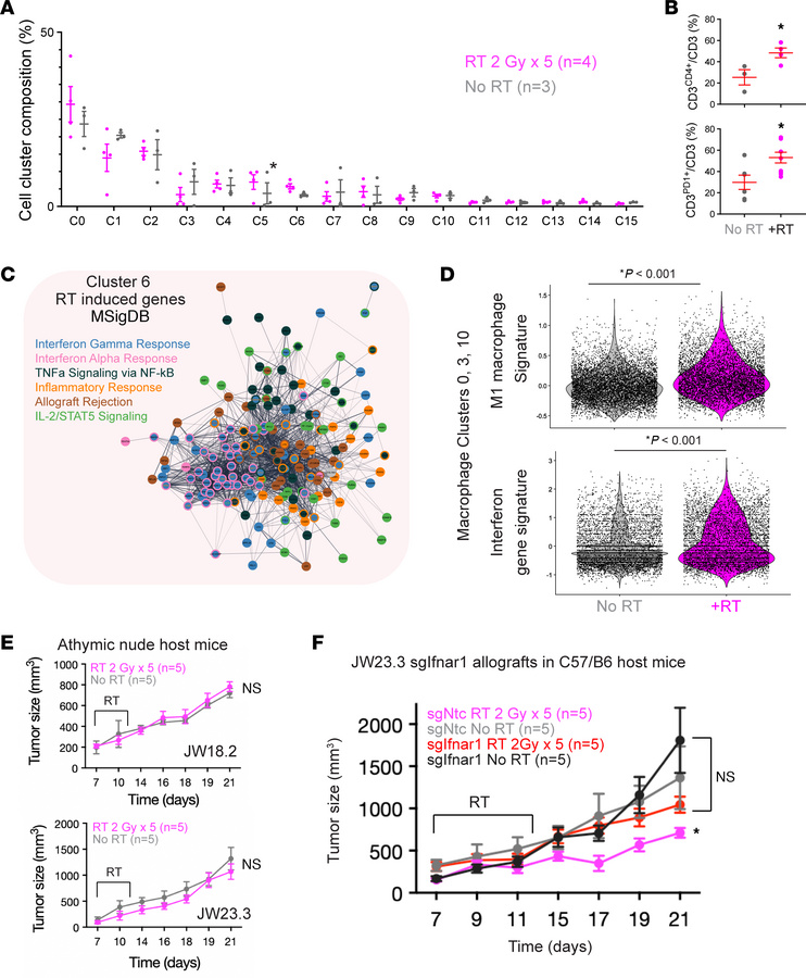 IFN activation and T cell recruitment are critical mediators of the MPNS...