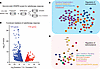 Genome-wide CRISPRi screen identifies functional mediators of the radiation