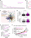 IFN activation and T cell recruitment are critical mediators of the MPNST R