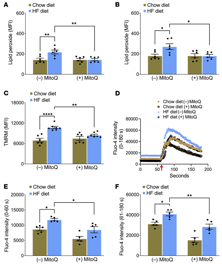 In vivo treatment with MitoQ protects mice with short-term glucose intol...