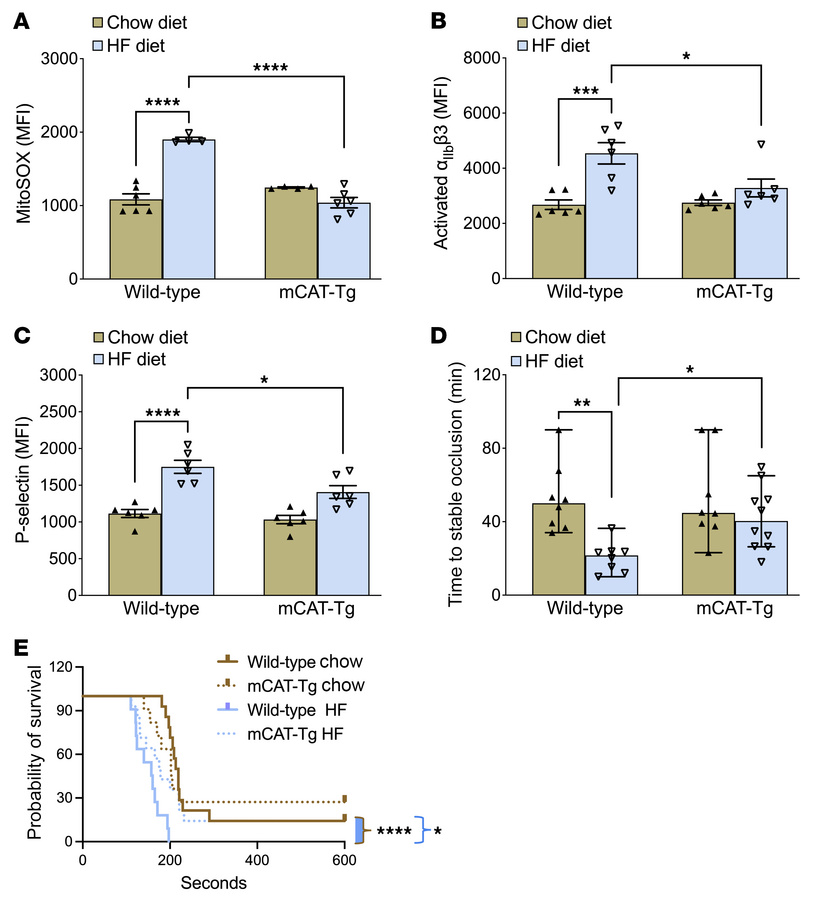mCAT-Tg mice are protected from enhanced platelet mito-oxidants, platele...