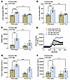 mCAT-Tg mice are protected from excessive accumulation of platelet lipid pe