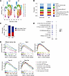 Single-cell transcriptome analysis revealed the molecular pathways in CD8+