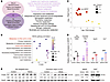 Chronic stress reprograms amino acid metabolism and upregulates ANPEP expre