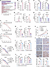 ANPEP enhances GSH levels to reduce sorafenib sensitivity of liver cancer.