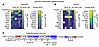 TCF7L2 and HTT as potential early drivers of dysregulated OL-neuron communi