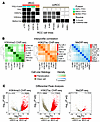 Cell line–informed epigenomic signature of tRCC.