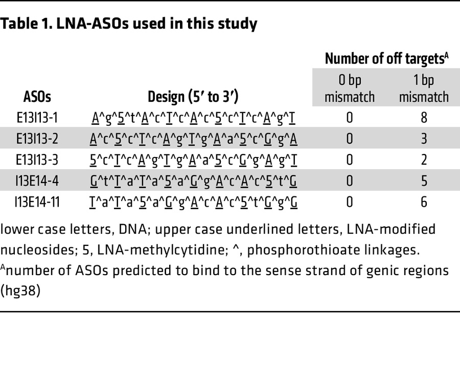 LNA-ASOs used in this study