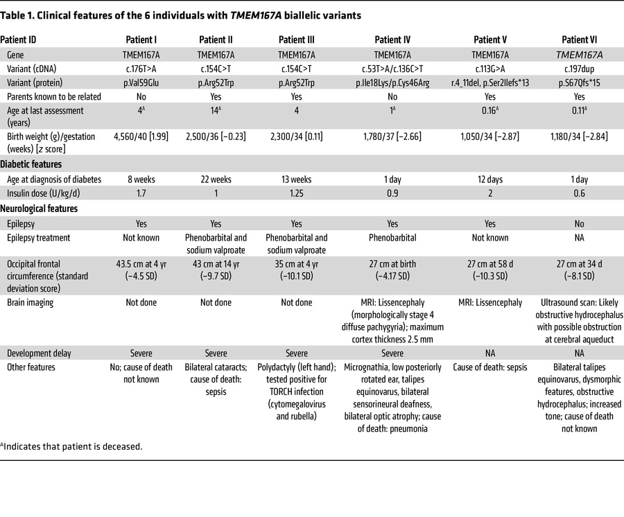 Clinical features of the 6 individuals with TMEM167A biallelic variants