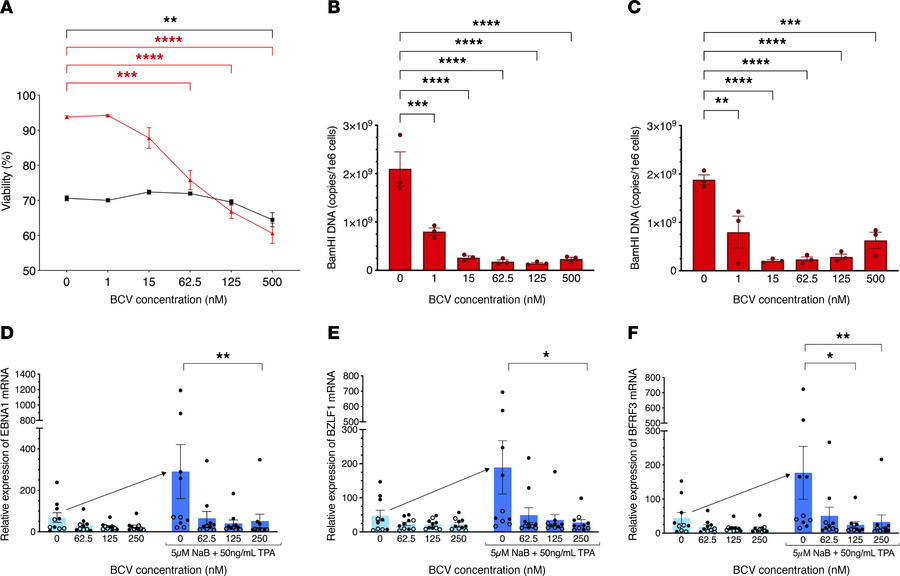 Brincidofovir decreases EBV DNA in a human EBV-infected cell line and re...