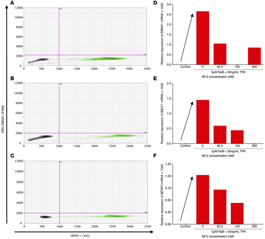 Brincidofovir reduces EBV mRNA expression in PBMCs from an individual wi...