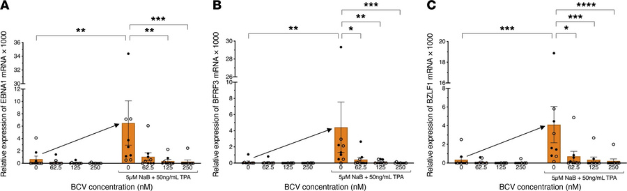 Treatment of EBV-infected human PBMCs with brincidofovir attenuates vira...